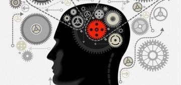 Brain activation