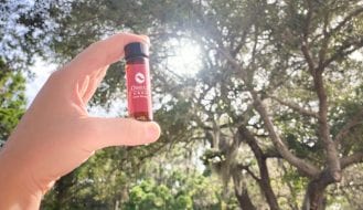 Sources of vitamin D