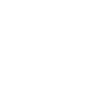 shipping icon